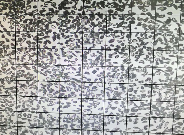 绿碳化硅微粉 8000#颗粒形状