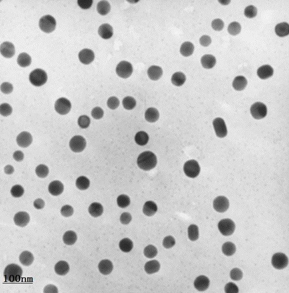 纳米氮化硅-水分散液