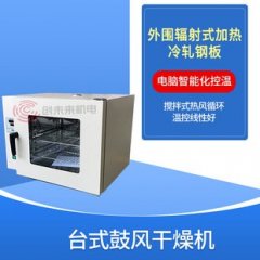 台式鼓风干燥箱