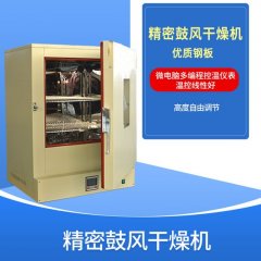 精密鼓风恒温干燥箱