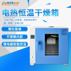电热恒温干燥箱