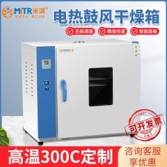 电热鼓风干燥箱