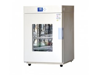 立式电热恒温鼓风干燥箱