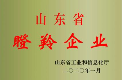 1f0d320fa23696dd98df3c808b3d3d28.jpg